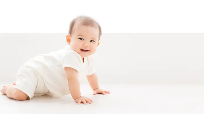 19年間の子どもへの名付け 男子は蓮、女子は陽菜が最多