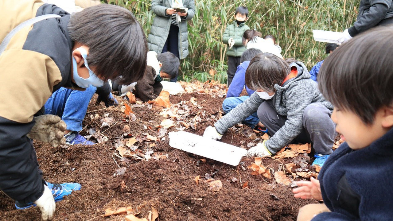 竹チップで育てた幼虫を子どもに 愛教大がクラファン