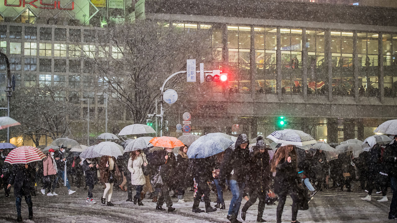 関東甲信地方の大雪で臨時休校145校 短縮授業377校