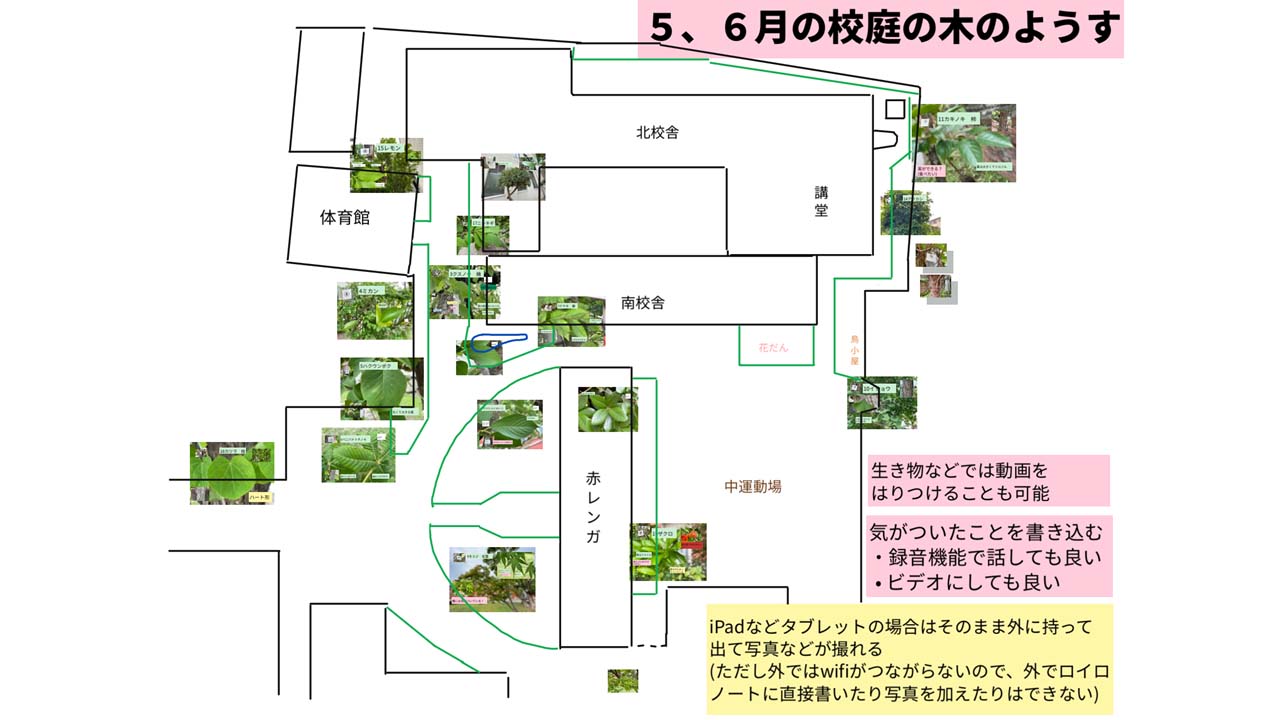京都聖母学院小の三宅教諭が作成方法を伝えた「観察マップ」