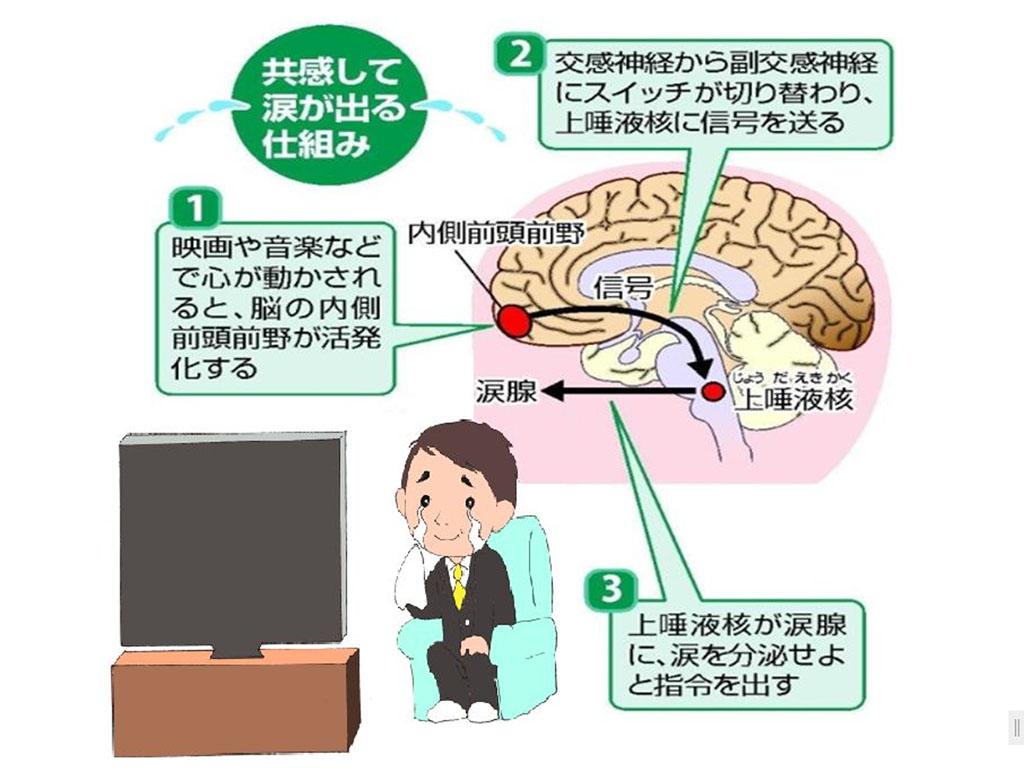 参加した教諭が号泣した理由とは 「涙活」の魅力伝える