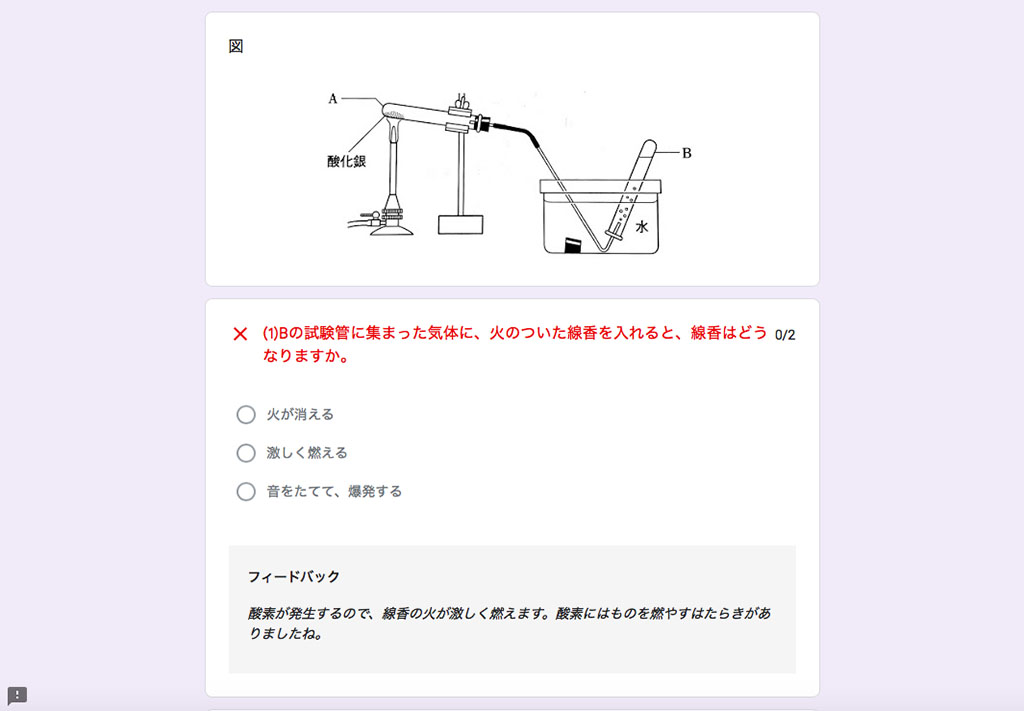 解答ページでは各問題にフィードバックのリンクやコメントをつけられる