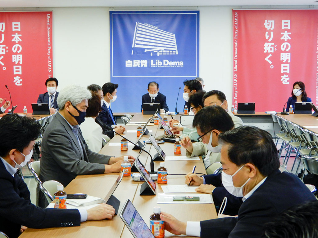 子供中心の政策実現へ「こども庁」創設を 自民が緊急決議