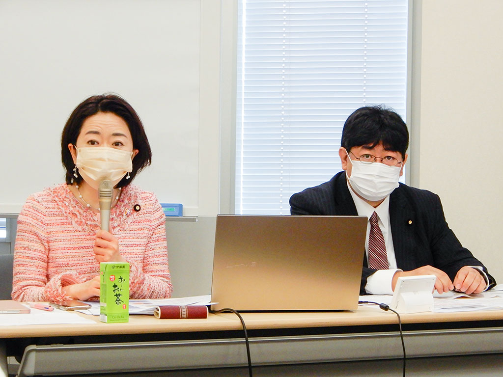 こども庁「課題解決のプラットフォーム」に 自民議員有志