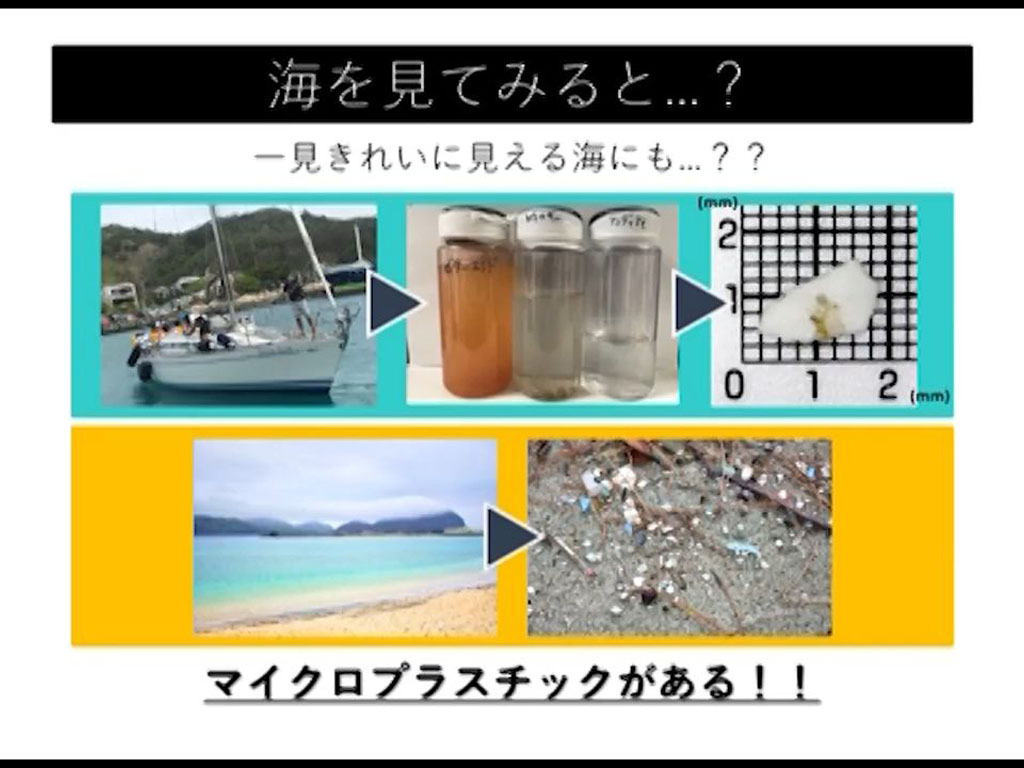 マイクロプラスチックの問題学ぶ教材 東京海洋大が制作