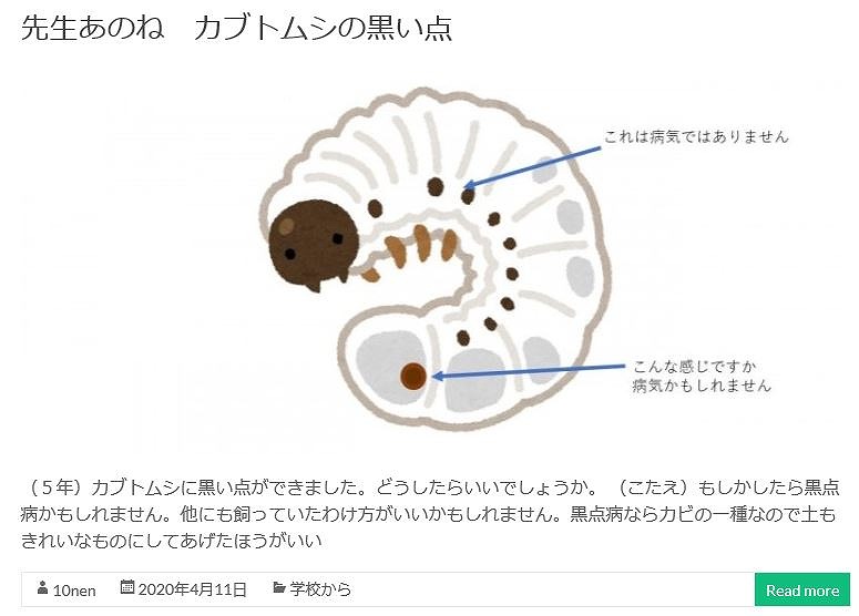「先生あのね」に寄せられた質問に対する教員の回答