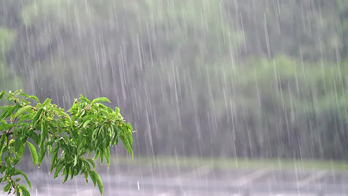 西日本中心に大雨 12府県で休校84校、短縮授業165校