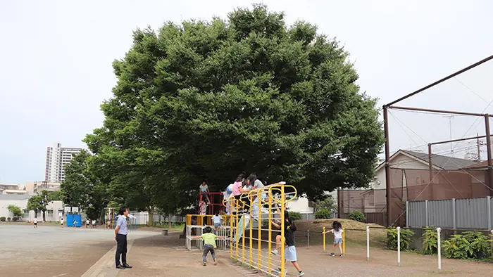 校庭の遊具を使う児童も多い＝撮影：水野拓昌