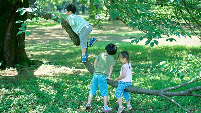 屋外活動増加で子どもの近視発症予防 京都大学が成果公表