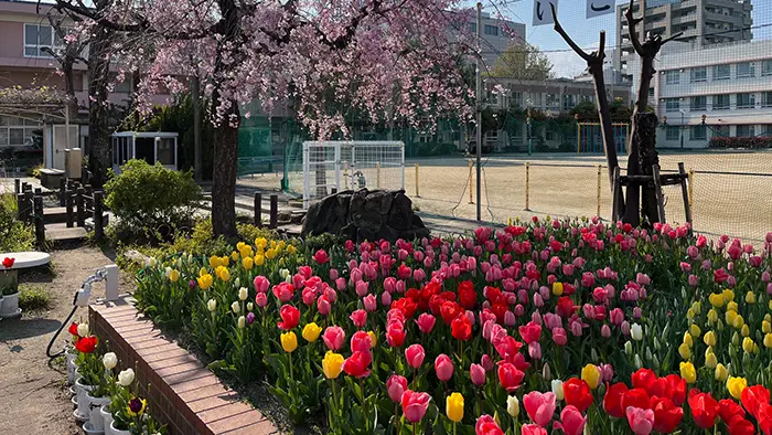 「花いっぱい運動」を中心とした 人間性豊かな児童の育成 ◇名古屋市立高蔵小学校◇