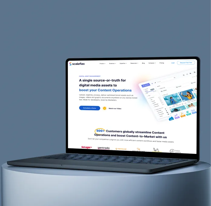 Sclaeflex.com 