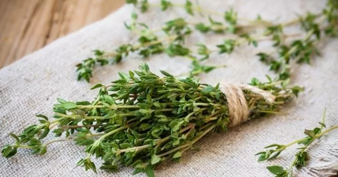 thym pour cheval fourchette pourrie