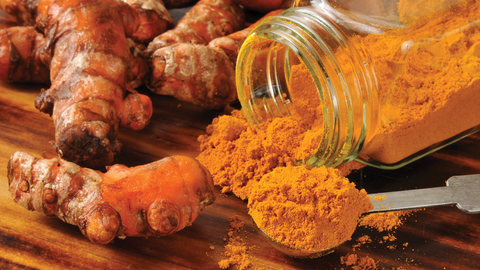 curcuma poudre cheval