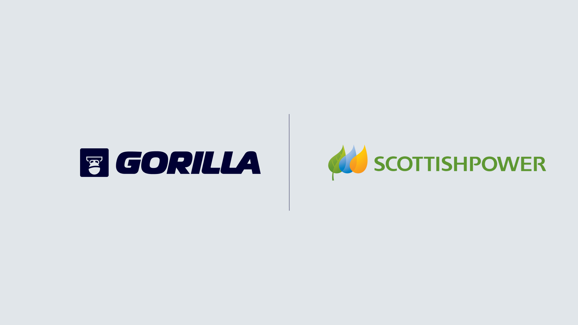 Gorilla Nominated for Flanders International Business Award 2024