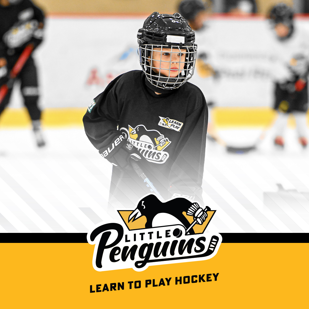 Little Penguins Learn to Play Hockey