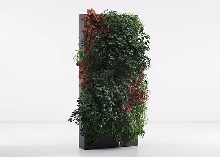 Parete verde verticale moderna con struttura autoportante in metallo scuro ricoperta da vegetazione ornamentale ricadente.