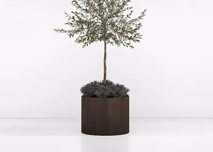 Fioriera rotonda moderna effetto corten con piccolo albero ornamentale e vegetazione decorativa, fotografata su sfondo bianco minimalista.