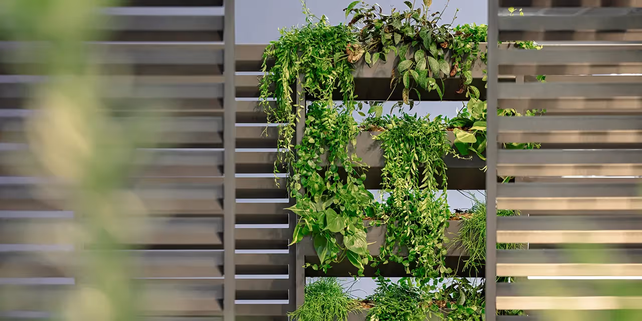 Green Wall