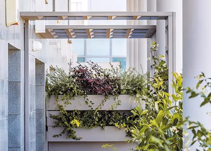 Corridoio esterno moderno riparato da pergola grigia a parete, con grandi fioriere ricche di piante rampicanti.