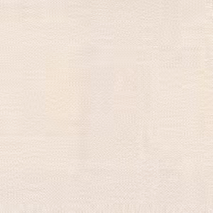 Plain 010