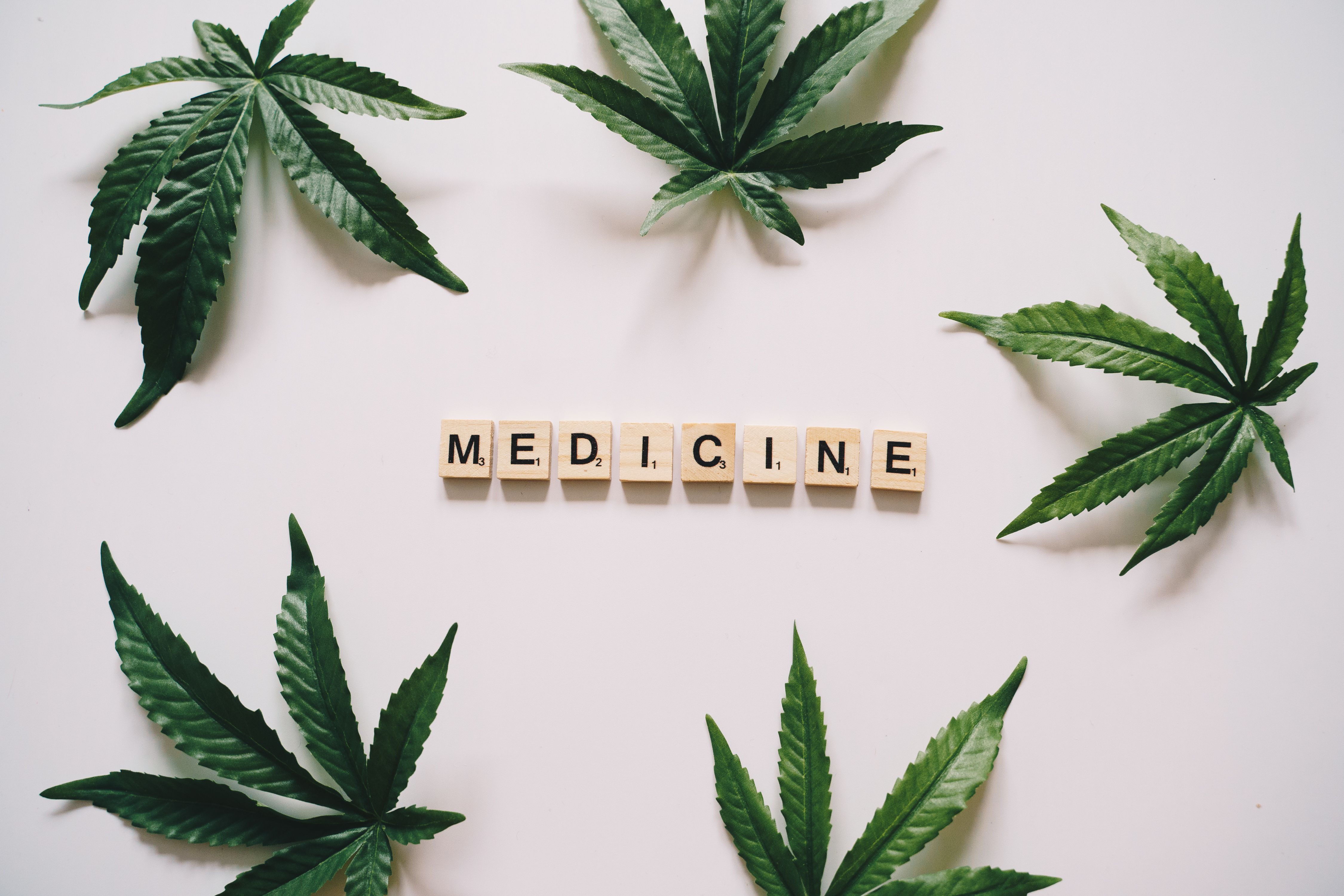 medical marijuana blog
