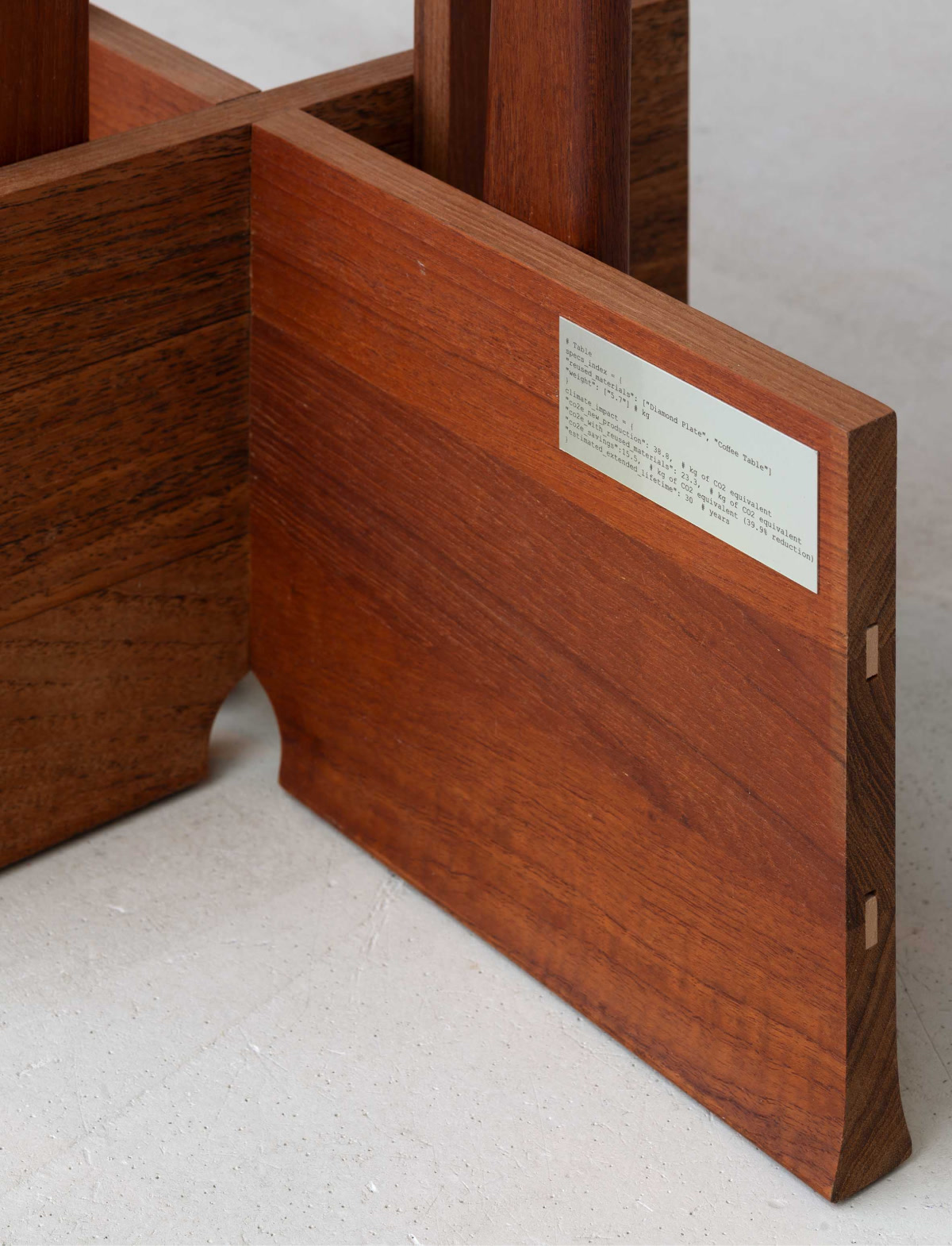 THE TRACES WE MAKE by Elly Feldstein