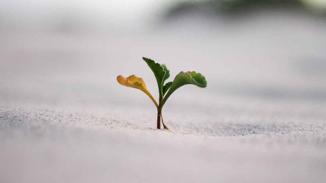Strategic Growth Unleashed: A Comprehensive Guide by Stony Hill Advisors, Inc. on Harnessing the Power of Acquisitions to Achieve Business Goals