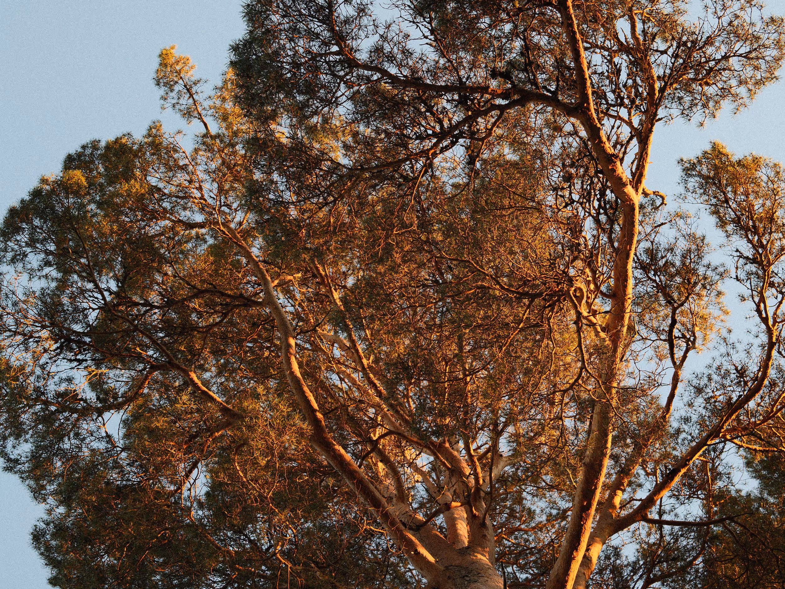 Fotograf: Torbjørn Sandbakk