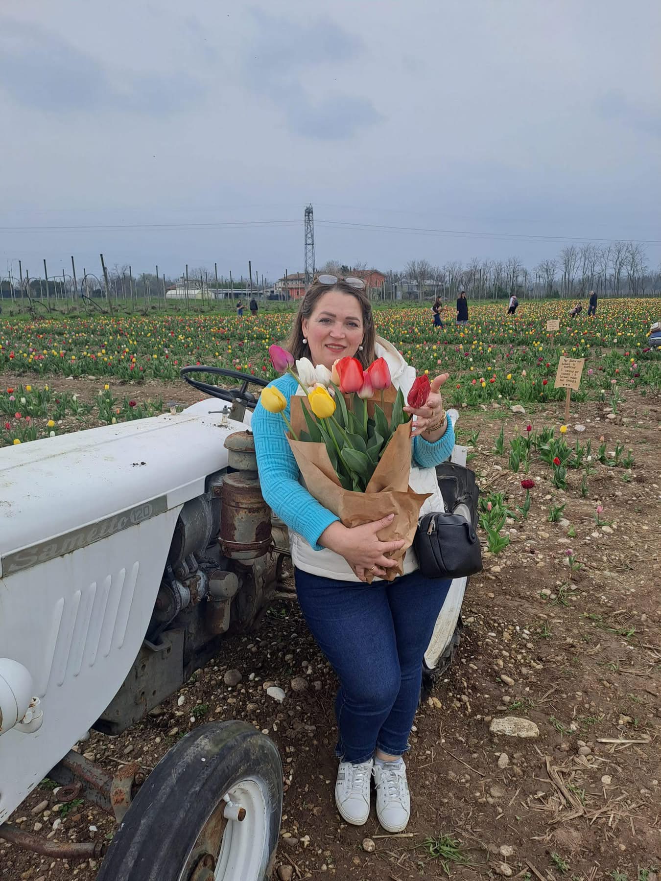 Anacarina, collaboratrice domestica Baze