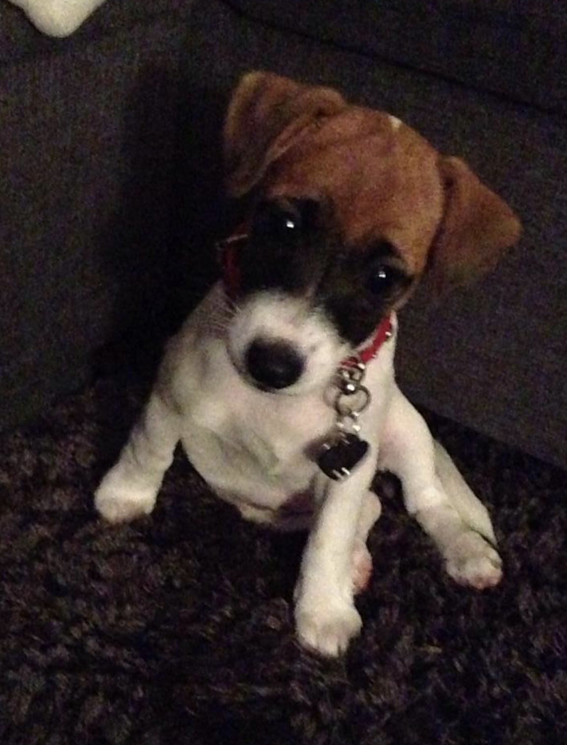 I migliori siti per trovare colf a Milano (2025): guida definitiva