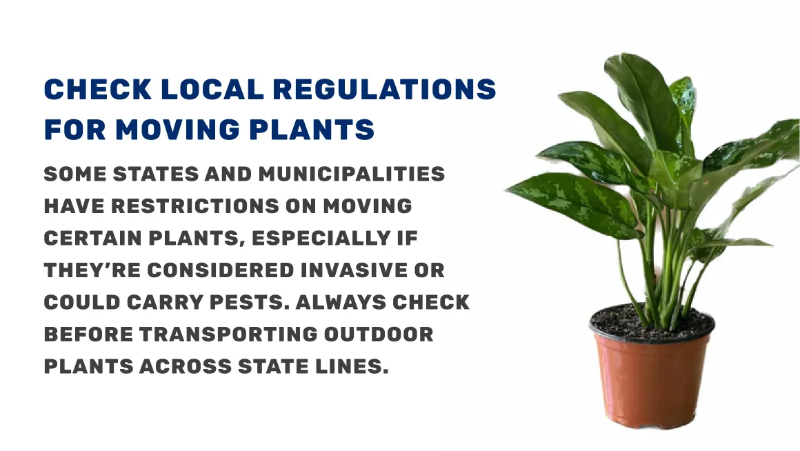 Check Local Regulations for Moving Plants