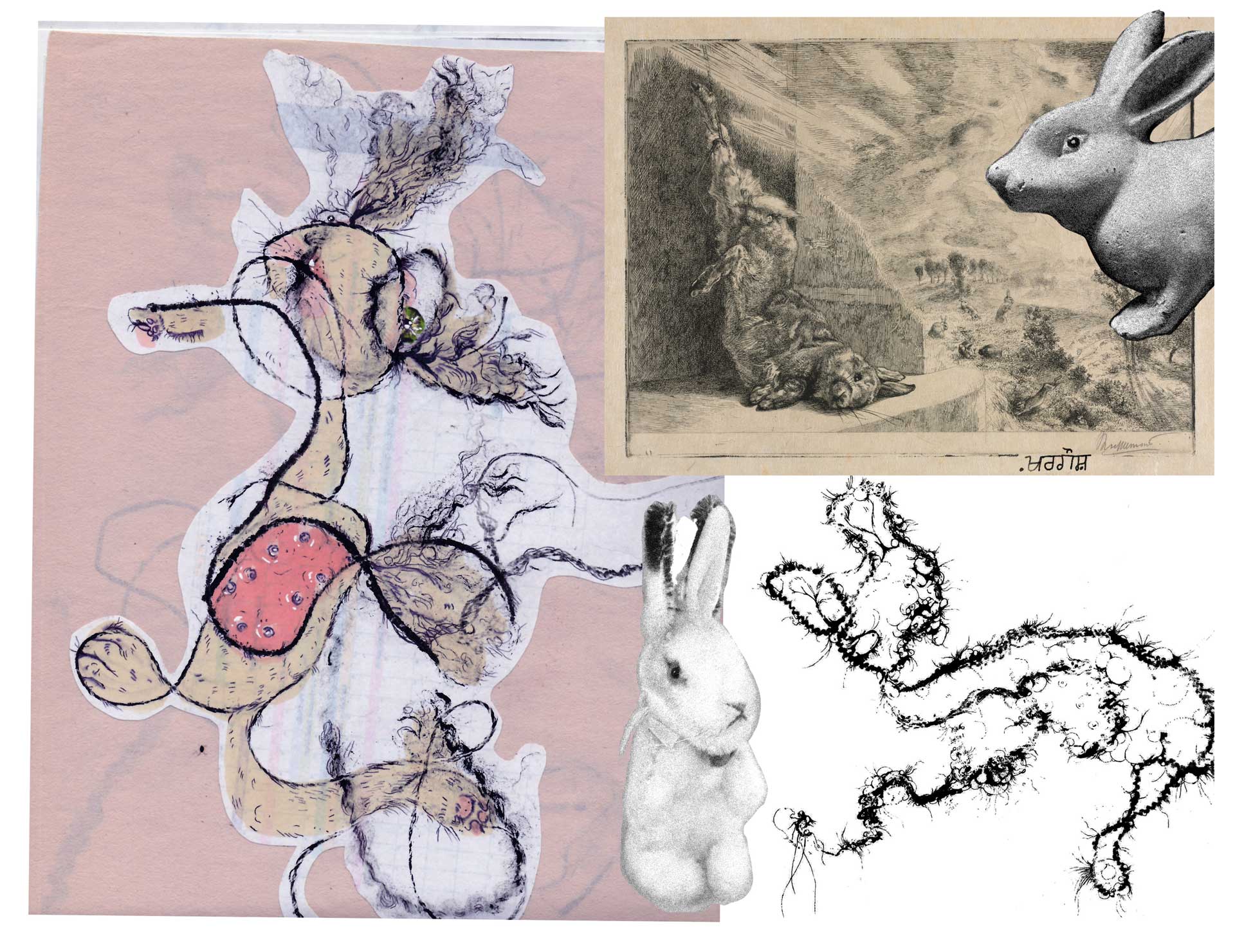 Collage featuring various artistic rabbit illustrations including a detailed black and white rabbit portrait, abstract rabit sketches with flowing lines, and a vintage-style drawing of a hanging dead rabbit.