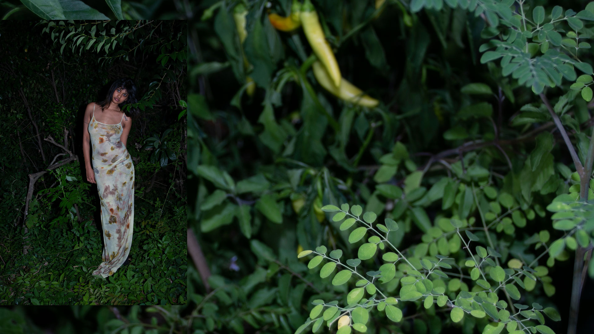 Woman in a floral-patterned dress standing among dense green vegetation at night.
