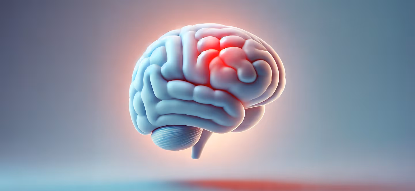 3D medical illustration of a human brain with one area highlighted in red, indicating a focal region of activity or concern.