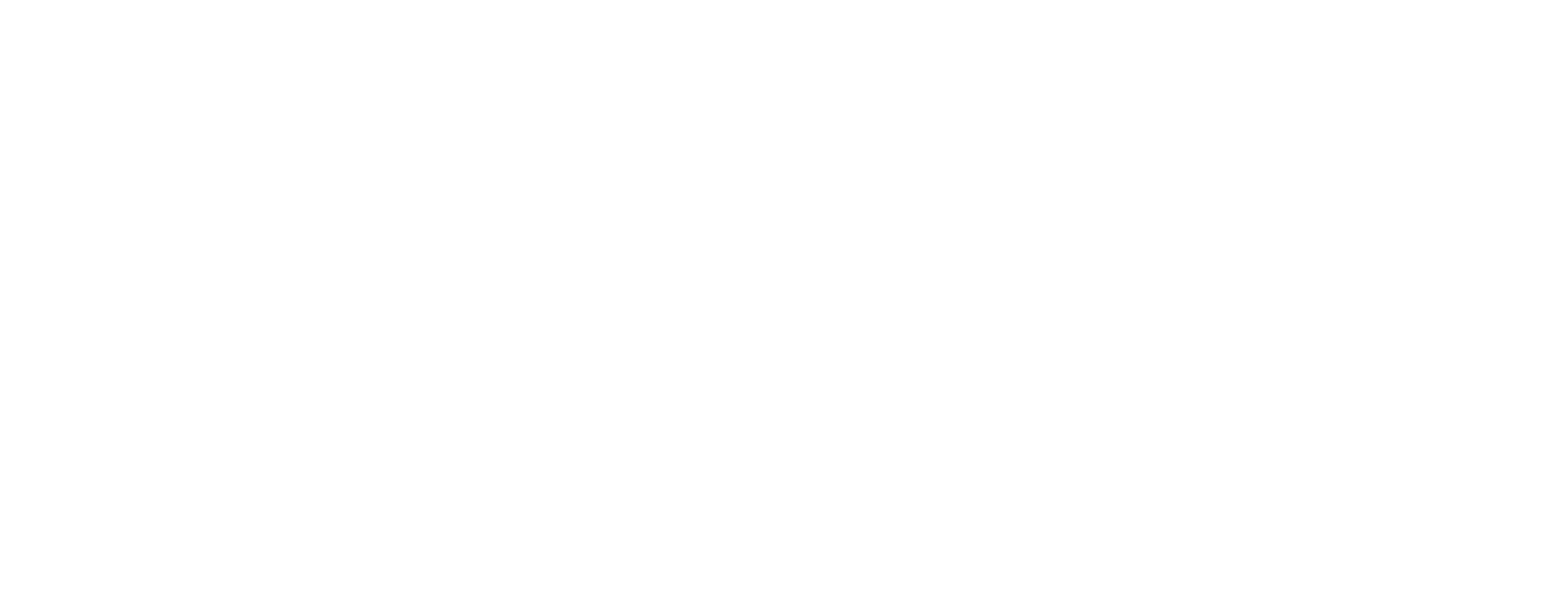 Evolv™ logo