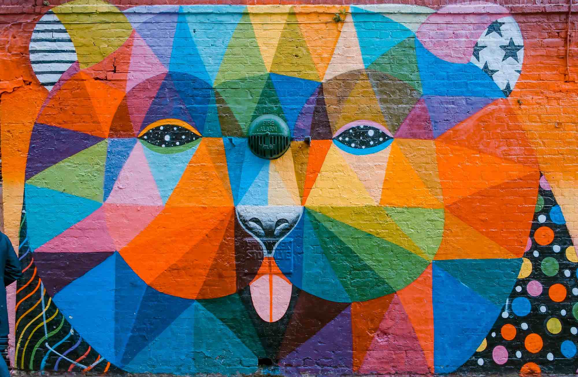 The Power of Color in Photography