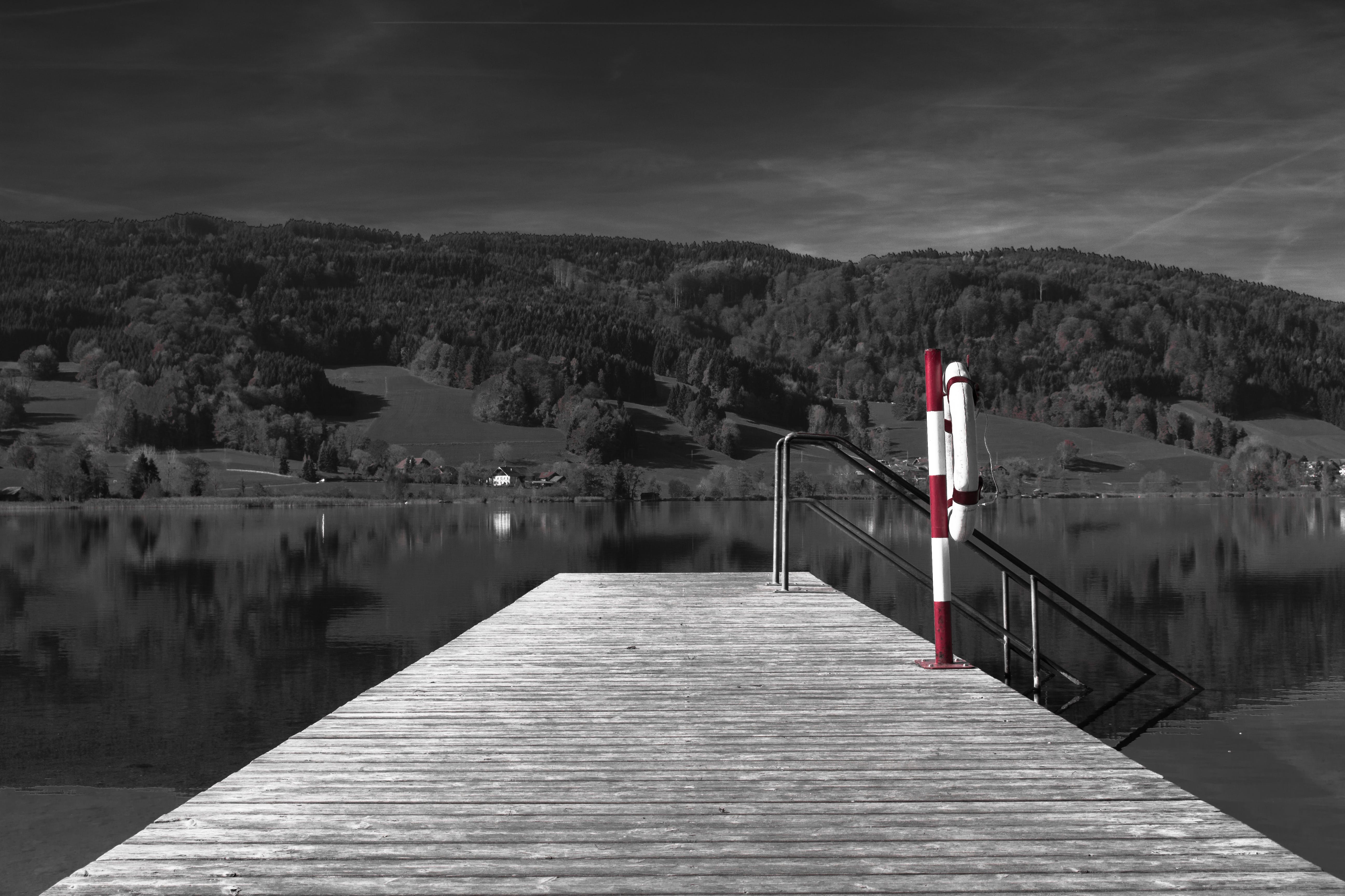 The Therapeutic Tapestry of Photography