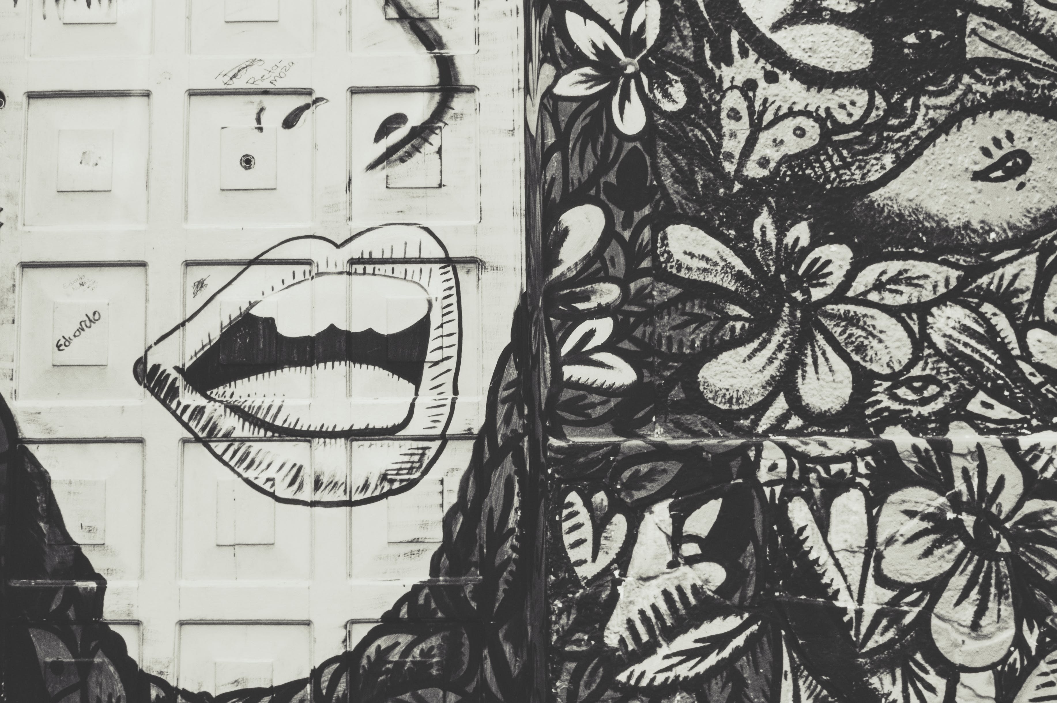 Deciphering Visual Messages in Street Art