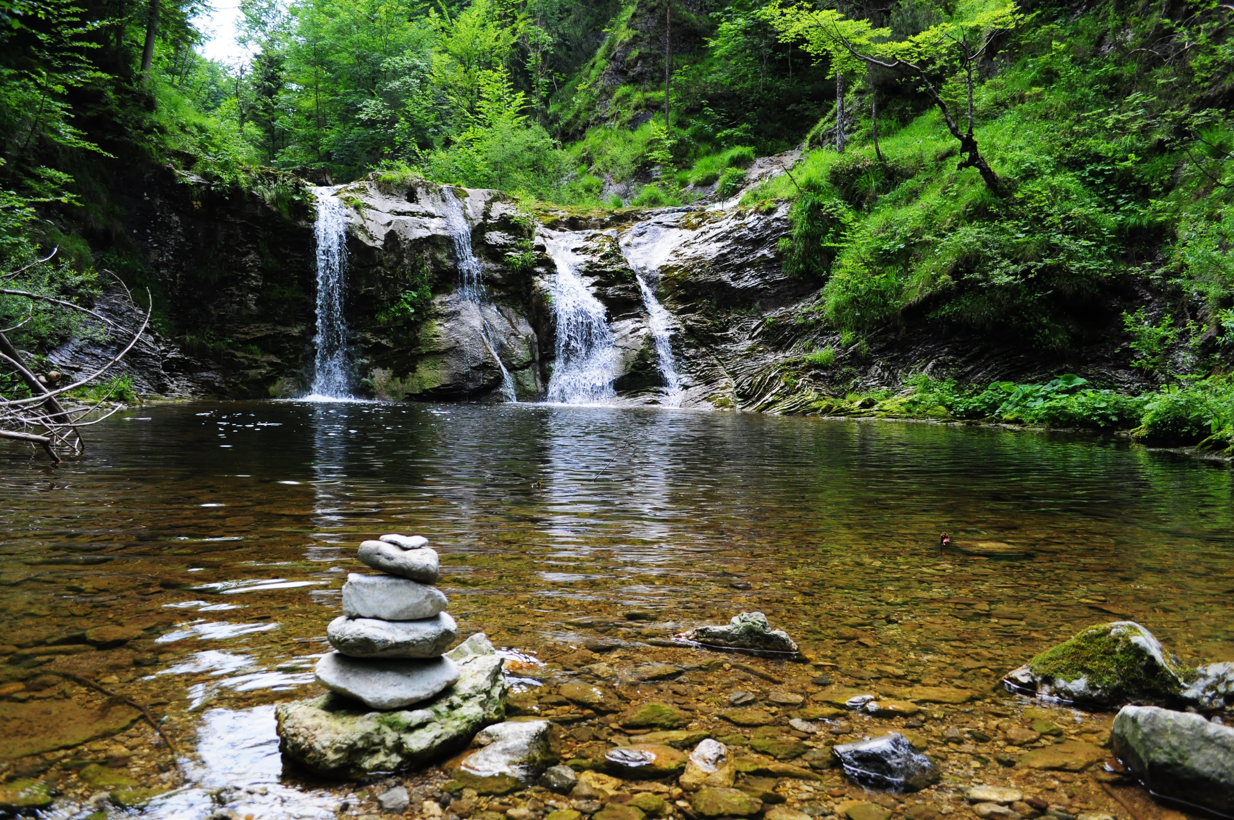 Capturing Transient Moments in Nature