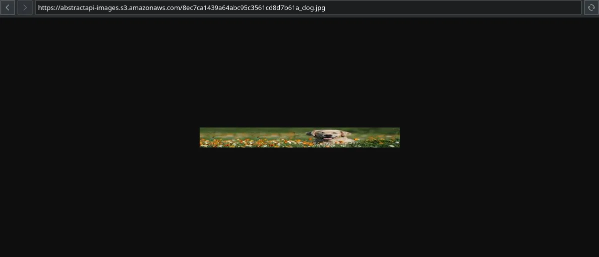Step 17 illustration: y-side to better see the differences in the use of the parameters
