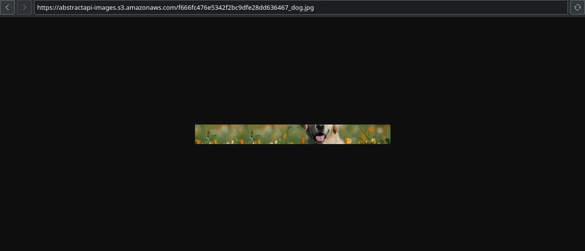 Step 23 illustration: webp" width="auto" height="auto" loading="auto">