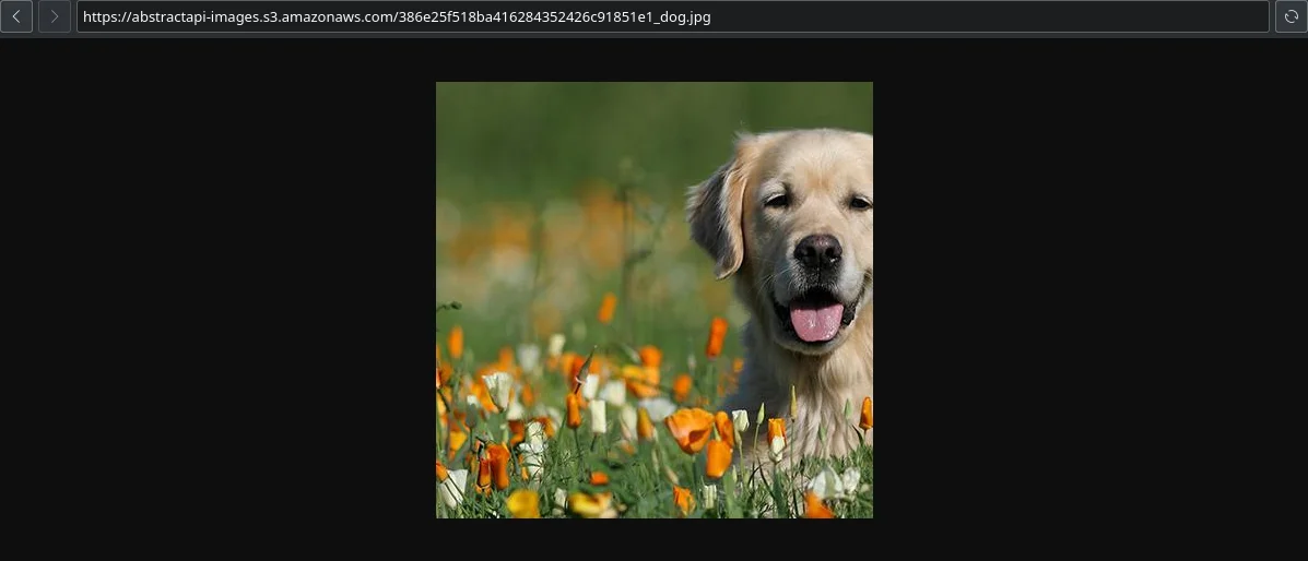 Step 21 illustration: webp" width="auto" height="auto" loading="auto">
