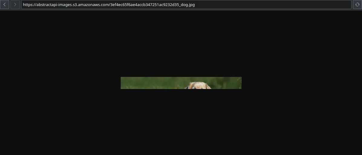 Step 24 illustration: webp" width="auto" height="auto" loading="auto">