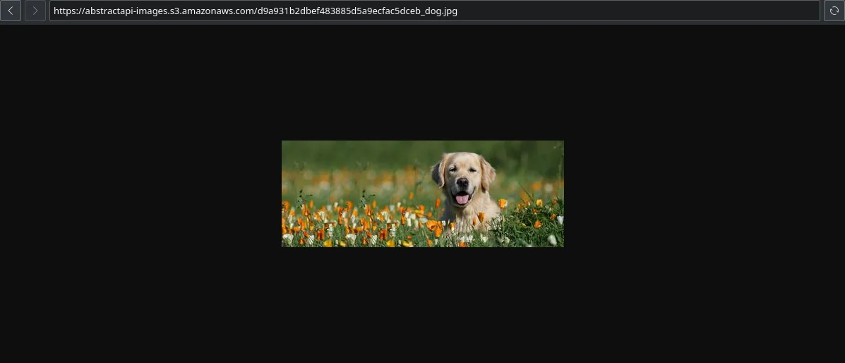 Step 19 illustration: webp" width="auto" height="auto" loading="auto">