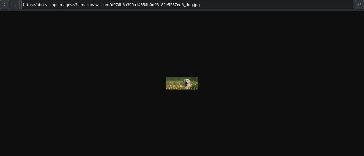 Step 18 illustration: webp" width="auto" height="auto" loading="auto">