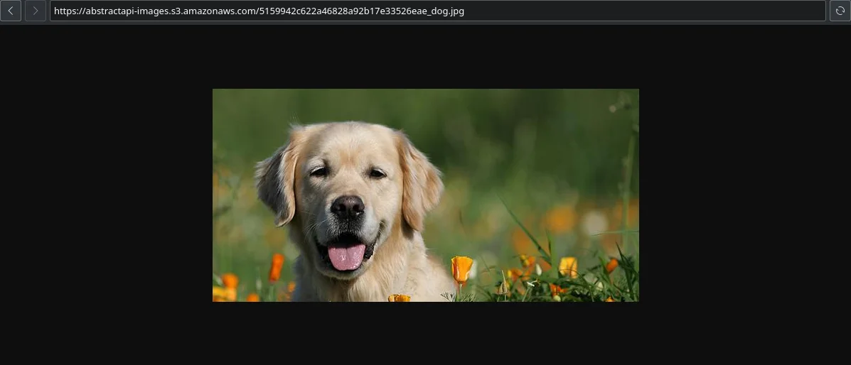 Step 26 illustration: webp" width="auto" height="auto" loading="auto">