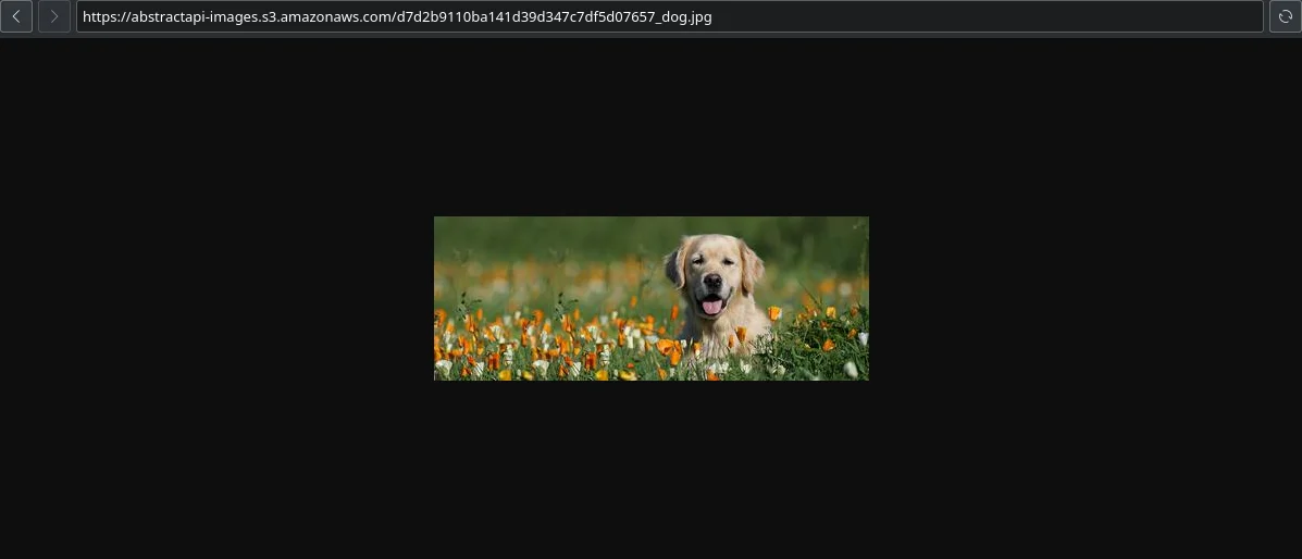 Step 20 illustration: webp" width="auto" height="auto" loading="auto">