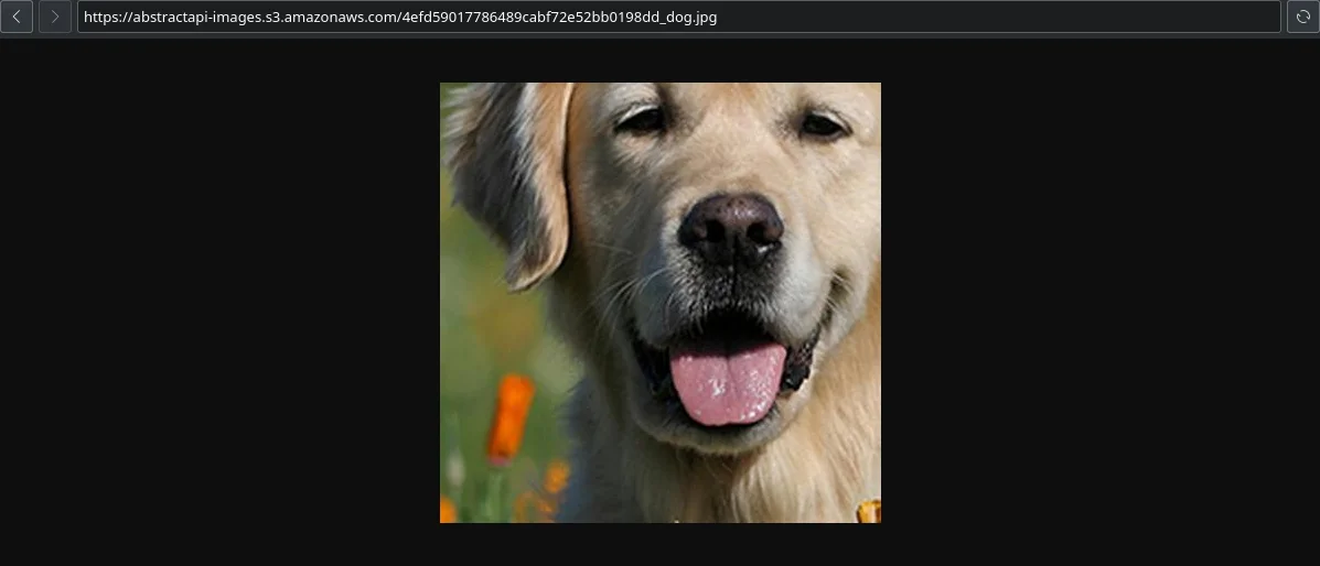 Illustration 27 for Resizing Images in Python