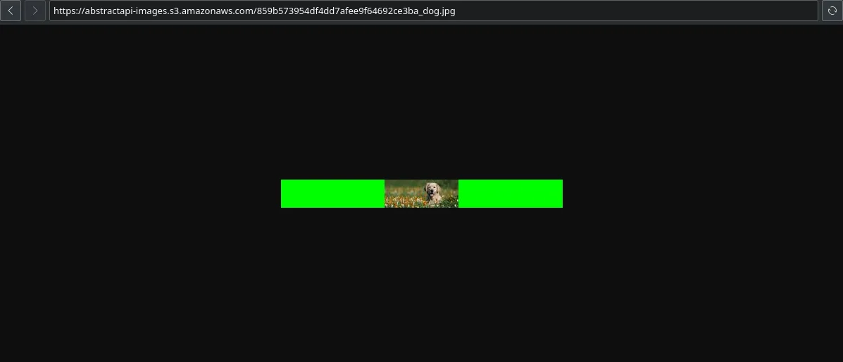 Step 22 illustration: webp" width="auto" height="auto" loading="auto">