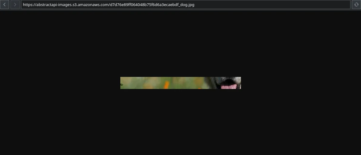 Step 25 illustration: webp" width="auto" height="auto" loading="auto">